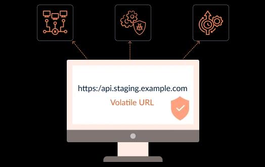 Web Application Security