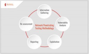Network Vulnerability Assessment and Penetration Testing Methodology