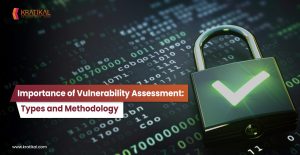 Importance of Vulnerability Assessment: Types and Methodology