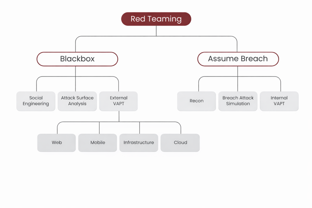 Red Teaming Assessment